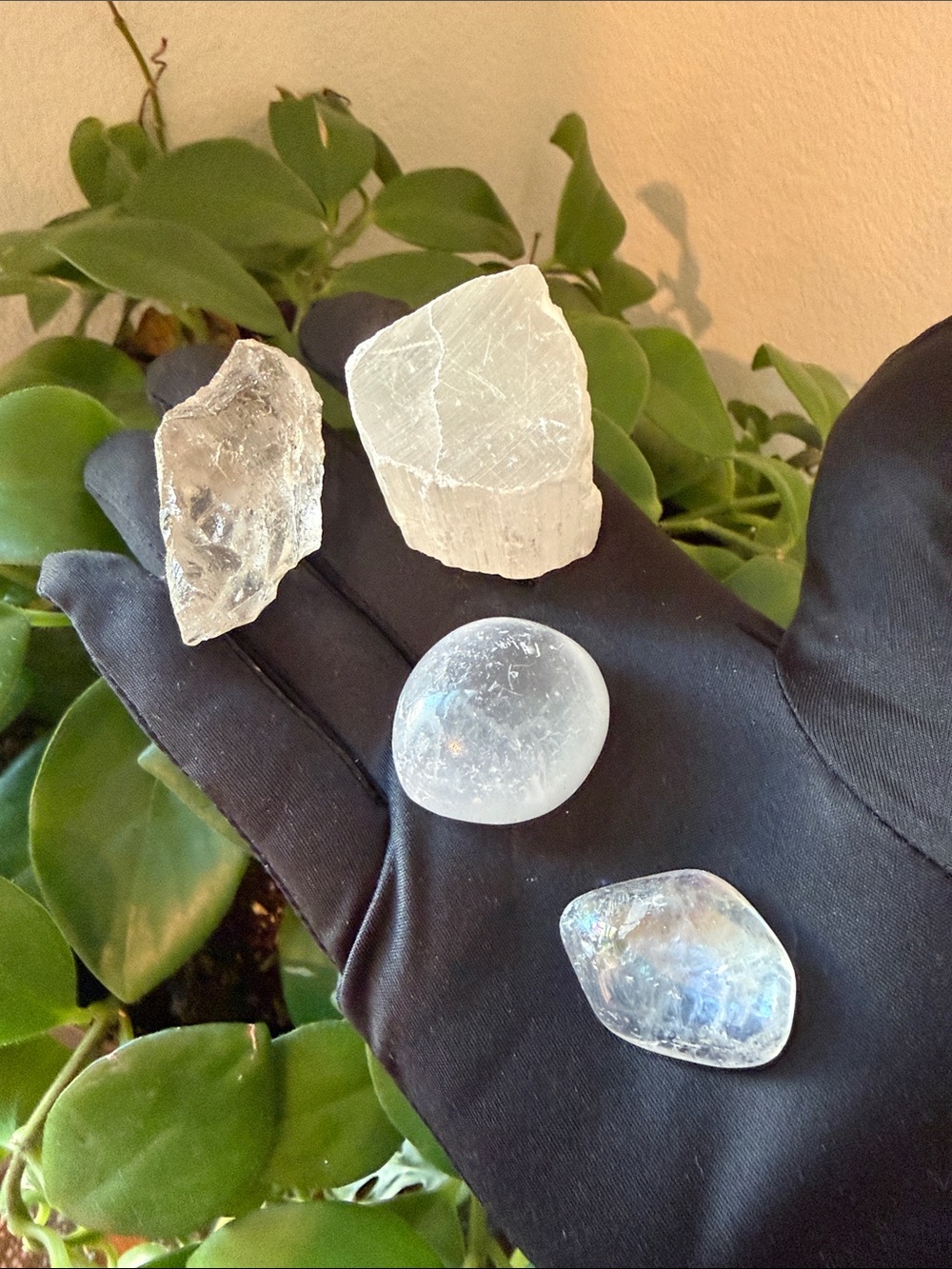 Clear Selenite and Quartz Crystal Set